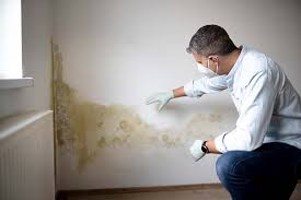 Mold Documentation for Insurance Claims in Effingham, IL